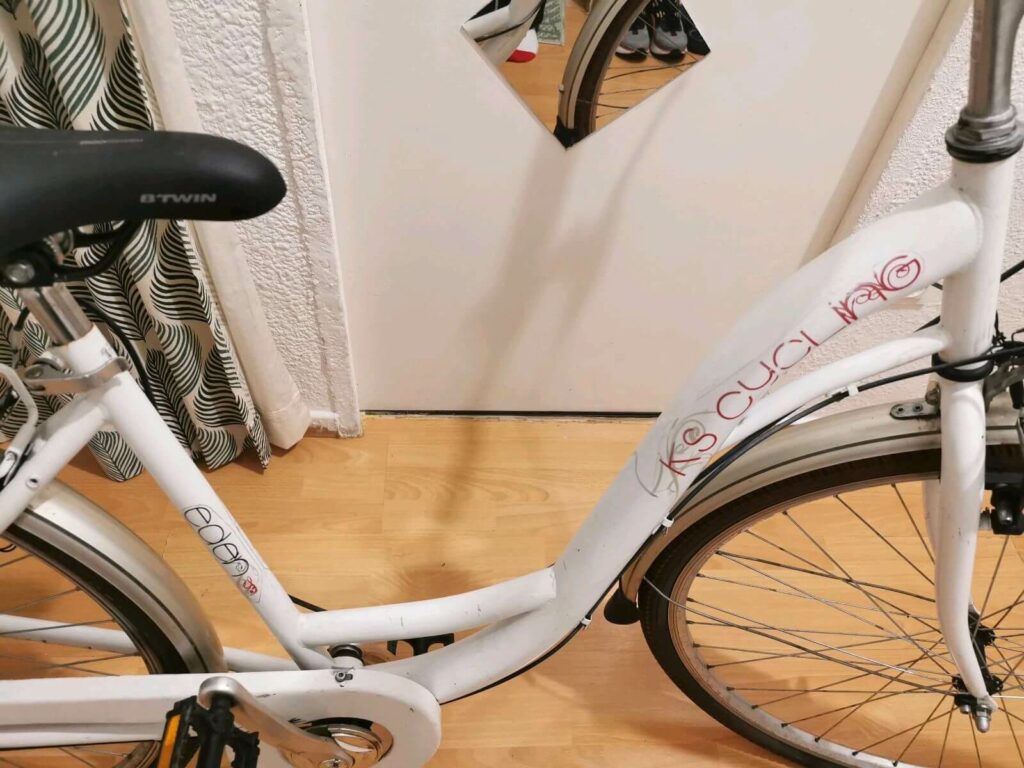 KS Cycling Eden Damenrad Rahmen